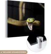 MuchoWow® Glasschilderij 80x60 cm - Schilderij acrylglas - Slang - Dier - Zwart - Foto op glas - Schilderijen
