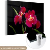 MuchoWow® Glasschilderij 90x60 cm - Schilderij acrylglas - Rode orchideeën tegen een zwarte achtergrond - Foto op glas - Schilderijen
