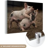 Peinture sur Verre - Porcelets - Jouer - Cochons - 90x60 cm - Peintures sur Verre Peintures - Photo sur Glas