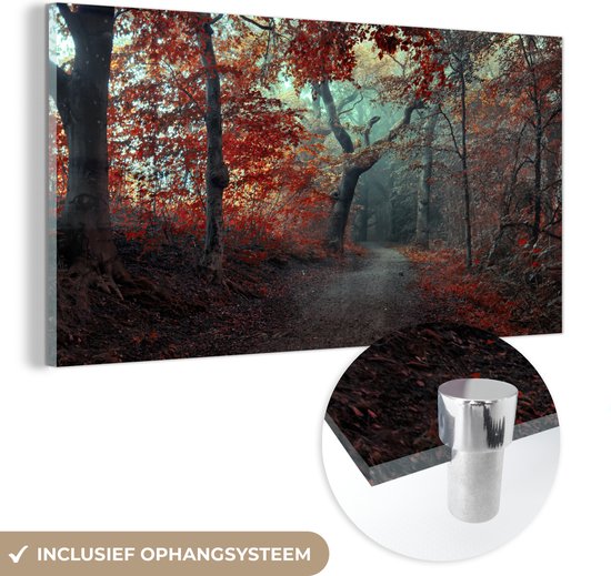 MuchoWow® Glasschilderij 40x20 cm - Schilderij acrylglas - Bospad - Bomen - Pad door Bos - Herfst - Foto op glas - Schilderijen
