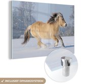 MuchoWow® Glasschilderij 180x120 cm - Schilderij glas - Fjord paard dat door de sneeuw rent - Foto op acrylglas - Schilderijen