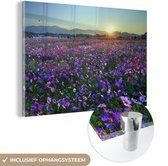 Peinture sur Verre - Fleurs - Violet - Coucher de Soleil - 30x20 cm - Peintures sur Verre Peintures - Photo sur Glas