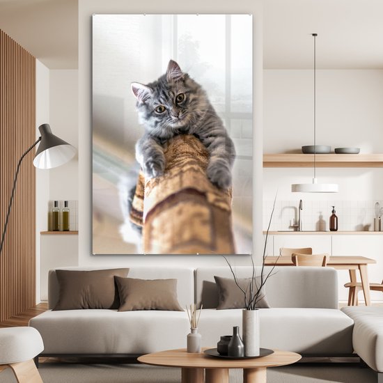 MuchoWow® Peinture sur Verre - Chat - Arbre à Chat - Grijs - 100x150 cm - Peintures sur Verre Acrylique - Photo sur Glas