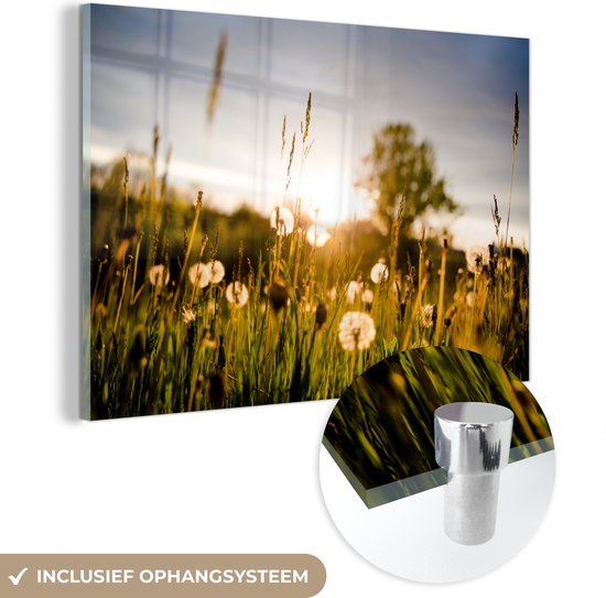 MuchoWow® Glasschilderij 180x120 cm - Schilderij acrylglas - Paardenbloemen - Gras - Zonsondergang - Foto op glas - Schilderijen