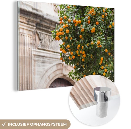 MuchoWow® Peinture sur Verre - La Cathédrale de Malaga avec un Oranger - 150x100 cm - Peintures sur Verre Acrylique - Photo sur Glas