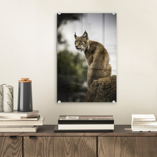 ® Glasschilderij 20x30 cm - Schilderij acrylglas - Lynx zit op een steen - Foto op glas - Muurdecoratie woonkamer - Wanddecoratie slaapkamer - Schilderijen