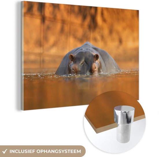 MuchoWow® Glasschilderij 60x40 cm - Schilderij acrylglas - Nijlpaard in het water van Nationaal Park Mana Pools in Zimbabwe - Foto op glas - Schilderijen