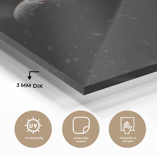 MuchoWow® Peinture sur verre 20x20 cm - Peinture acrylique sur verre - Vautour - Wit - Zwart - Photo sur verre - Peintures