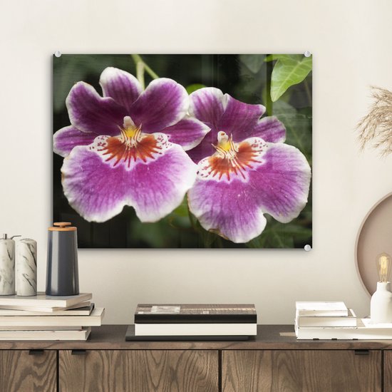 ® Glasschilderij 40x30 cm - Schilderij acrylglas - Wilde orchidee - Foto op glas - Muurdecoratie woonkamer - Wanddecoratie slaapkamer - Schilderijen