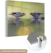 MuchoWow® Glasschilderij 40x30 cm - Schilderij acrylglas - Vogelbad - Vogel - Water - Foto op glas - Schilderijen