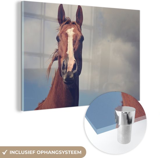 MuchoWow® Peinture sur verre - Cheval - Ciel - Blauw - 120x80 cm - Peintures sur verre acrylique - Photo sur Glas