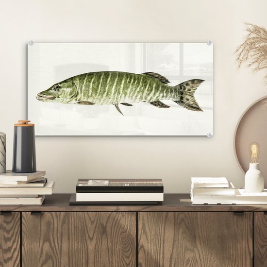 MuchoWow® Peinture sur Verre - Brochet - Peinture de Jean Bernard - 40x20 cm - Peintures sur Verre Acrylique - Photo sur Glas