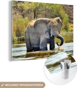 MuchoWow® Glasschilderij 120x90 cm - Schilderij acrylglas - Olifant - Water - Dieren - Natuur - Foto op glas - Schilderijen