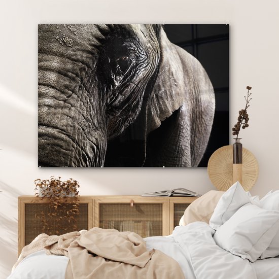 MuchoWow® Peinture sur verre 120x90 cm - Peinture sur verre acrylique - Éléphant - Animaux - Gros plan - Zwart - Photo sur verre - Peintures