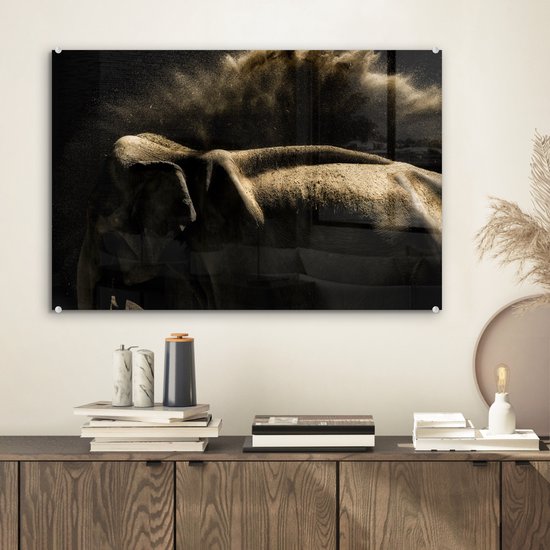 MuchoWow® Peinture sur verre 60x40 cm - Peinture sur verre acrylique - Éléphant - Boue - Animaux - Zwart - Photo sur verre - Peintures