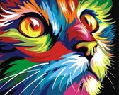 Diamond Painting Kleurrijke kat / poes 40x50cm. (Volledige bedekking - Vierkante steentjes) diamondpainting inclusief tools