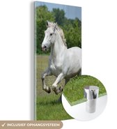 MuchoWow® Glasschilderij 20x40 cm - Schilderij acrylglas - Paarden - Natuur - Wit - Foto op glas - Schilderijen