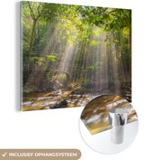 MuchoWow® Peinture sur verre 80x60 cm - Peinture sur verre acrylique - Rayons de soleil à travers le feuillage - Photo sur verre - Peintures