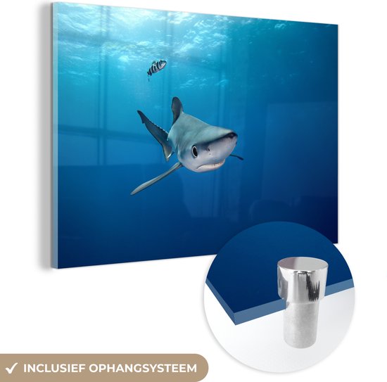 MuchoWow® Glasschilderij 30x20 cm - Schilderij acrylglas - Grote blauwe haai - Foto op glas - Schilderijen