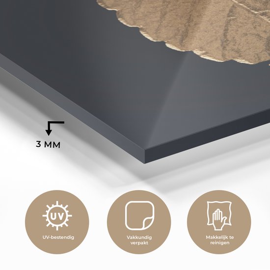 MuchoWow® Peinture sur verre 30x40 cm - Peinture sur verre acrylique - Feuilles - Zwart - Or - Luxe - Nature - Photo sur verre - Peintures