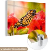 MuchoWow® Glasschilderij 60x40 cm - Schilderij acrylglas - Bloemen - Vlinders - Monarch - Foto op glas - Schilderijen
