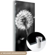 MuchoWow® Peinture sur verre 20x40 cm - Peinture sur verre - Pissenlit - Zwart - Wit - Plante - Photo sur verre acrylique - Peintures