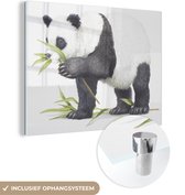 MuchoWow® Glasschilderij 160x120 cm - Schilderij acrylglas - Dieren - Panda - Bamboe - Foto op glas - Schilderijen
