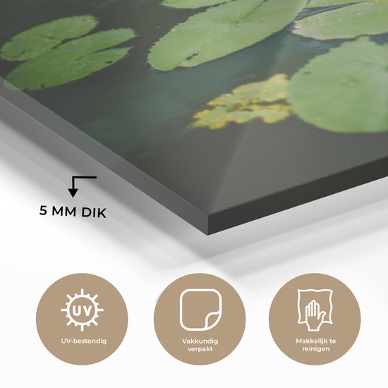 Peinture sur verre - Fleurs - Feuilles - Plus - 90x60 cm - Peintures Plexiglas