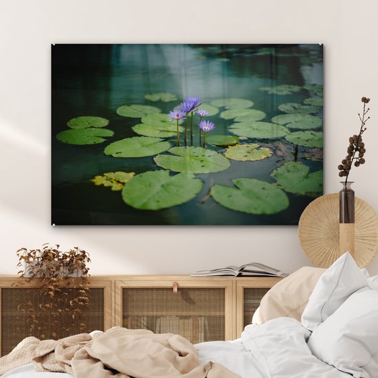 Peinture sur verre - Fleurs - Feuilles - Plus - 90x60 cm - Peintures Plexiglas