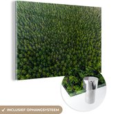 MuchoWow® Glasschilderij 60x40 cm - Schilderij acrylglas - Bos - Nieuw-Zeeland - Natuur - Foto op glas - Schilderijen