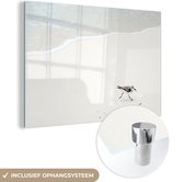 MuchoWow® Glasschilderij 120x80 cm - Schilderij acrylglas - Strand - Vogels - Zee - Foto op glas - Schilderijen