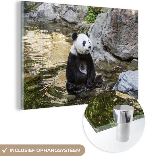 MuchoWow® Glasschilderij 120x80 cm - Schilderij acrylglas - Panda - Rivier - Steen - Foto op glas - Schilderijen