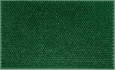 Tragar deurmat van volledig rubber met antislip - Voor binnen en buiten - Schoonloopmat - 40 x 60 cm Groen