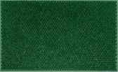 Paillasson Tragar en caoutchouc plein avec antidérapant - Pour l'intérieur et l'extérieur - Paillasson - 40 x 60 cm Vert