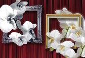 Papier peint Fleurs Orchidées Cadres | XXL - 312 cm x 219 cm | Polaire 130g / m2