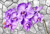Fotobehang Flowers Orchids Texture | XXL - 312cm x 219cm | 130g/m2 Vlies