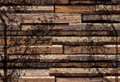 Fotobehang Wood Planks Texture Tree Shadow | XXL - 312cm x 219cm | 130g/m2 Vlies