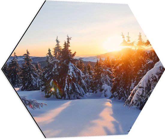 Dibond Hexagon - Zonsondergang achter Bomen in Besneeuwd Landschap - 60x52.2 cm Foto op Hexagon (Met Ophangsysteem)