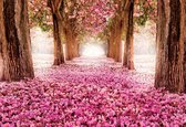 Fotobehang Flowers Cherry Blossoms Forest Nature | XXL - 312cm x 219cm | 130g/m2 Vlies