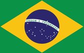 Fotobehang Flag Brasil | XXXL - 416cm x 254cm | 130g/m2 Vlies