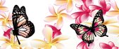 Fotobehang Butterflies Flowers  | PANORAMIC - 250cm x 104cm | 130g/m2 Vlies
