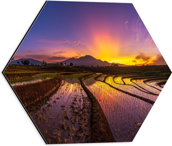 Dibond Hexagon - Zonsopkomst achter Berg bij de Indonesische Rijstenvelden - 40x34.8 cm Foto op Hexagon (Met Ophangsysteem)