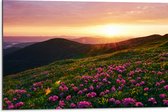 Dibond - Zonsondergang Verdwijnend achter Gebergte vol Paarse Bloemen - 75x50 cm Foto op Aluminium (Met Ophangsysteem)