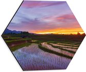 Dibond Hexagon - Zonsondergang bij de Rijstvelden in Indonesië - 30x26.1 cm Foto op Hexagon (Met Ophangsysteem)