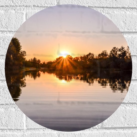 Muursticker Cirkel - Zon Verdwijnend achter Bomen langs Meer - 40x40 cm Foto op Muursticker