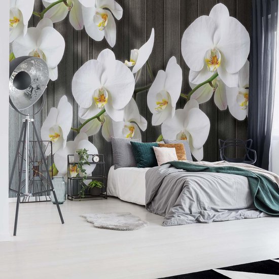Papier Peint Fleurs  | XXXL - 416 cm x 254 cm | Polaire 130g / m2