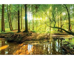 Fotobehang - Zonnig Bos met een Beek - Bomen - Natuur - Vliesbehang - 312 x 219 cm (3 behangvellen)