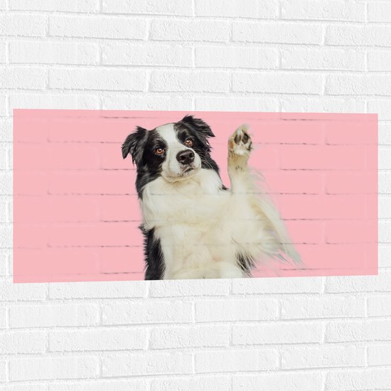 Muursticker - Zwaaiende Border Collie Hond tegen Roze Achtergrond - 100x50 cm Foto op Muursticker