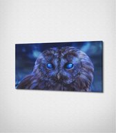 Owl Canvas