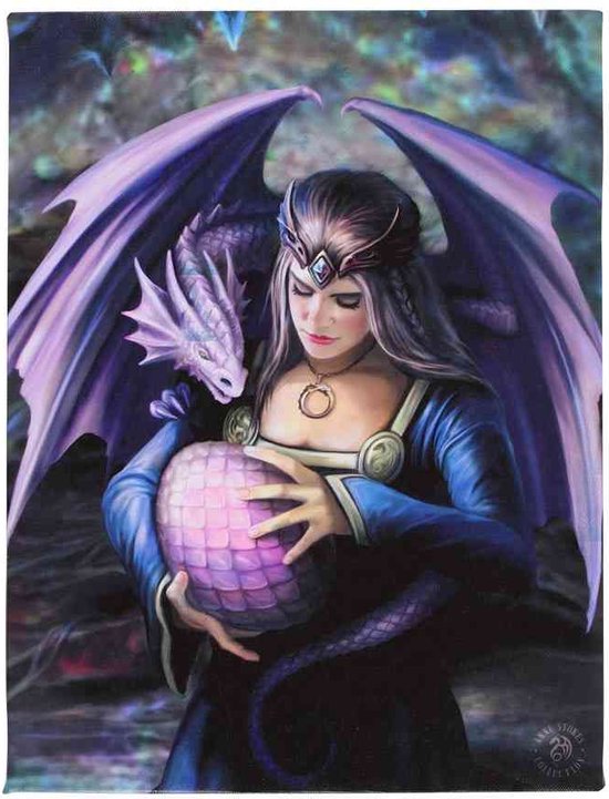 Something Different Canvas afbeelding 19x25cm Siblings by Anne Stokes Multicolours